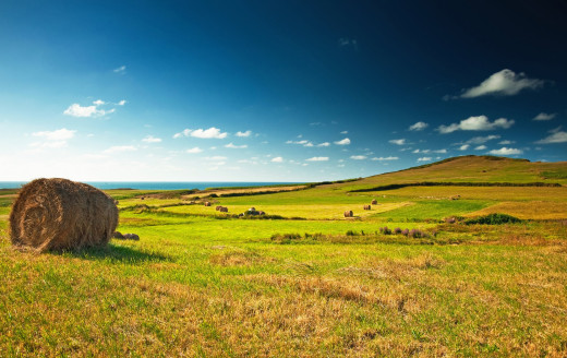 814565 (a): :2500x1575